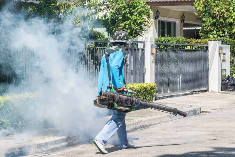 Rat Fumigation Service in Naperville, IL
