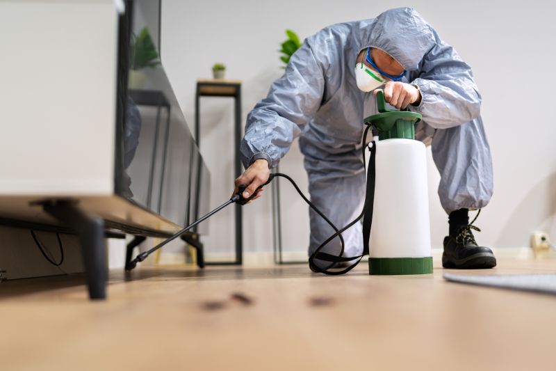 Rat Fumigation Service in Gwinnett County, GA