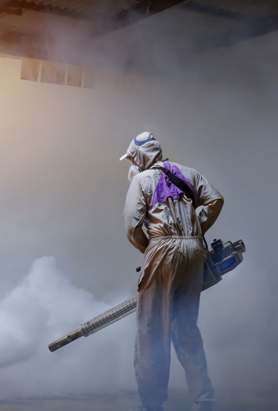 Spider Fumigation Service in Tampa, FL